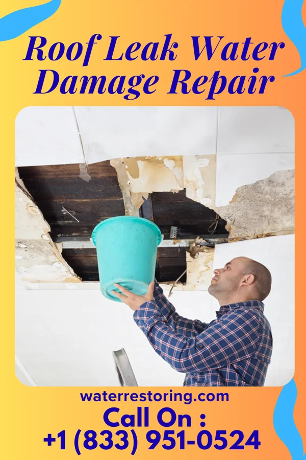 Roof Leak Water Damage Repair in Honeyville, UT